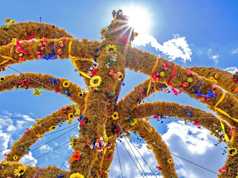 Erntekrone im Sonnenlicht