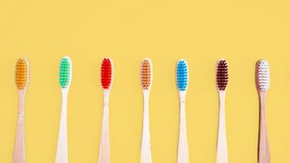 Angesagte Trends Set von Bambuszahnbürsten mit farbigen Borsten