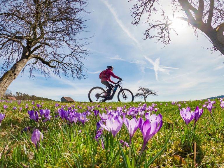 Sonniger Frühlingstag mit Frühblühern und einem Radfahrer