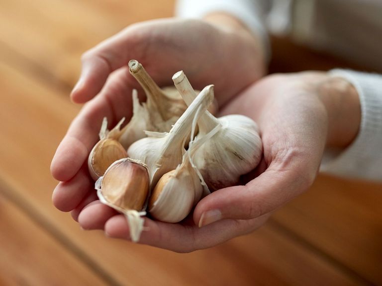 Eine Handvoll Knoblauch