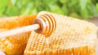 Frischer Honig aus der Honigwabe