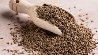 Kümmel - vielseitig und gesund Schaufel mit Kümmel liegt auf einem Tisch