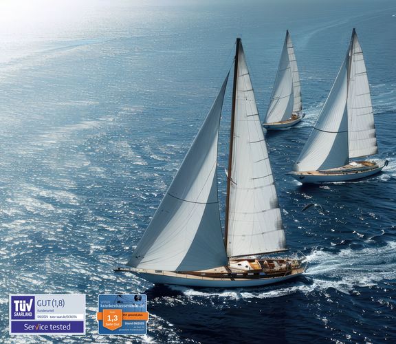 Segelschiffe auf dem Meer