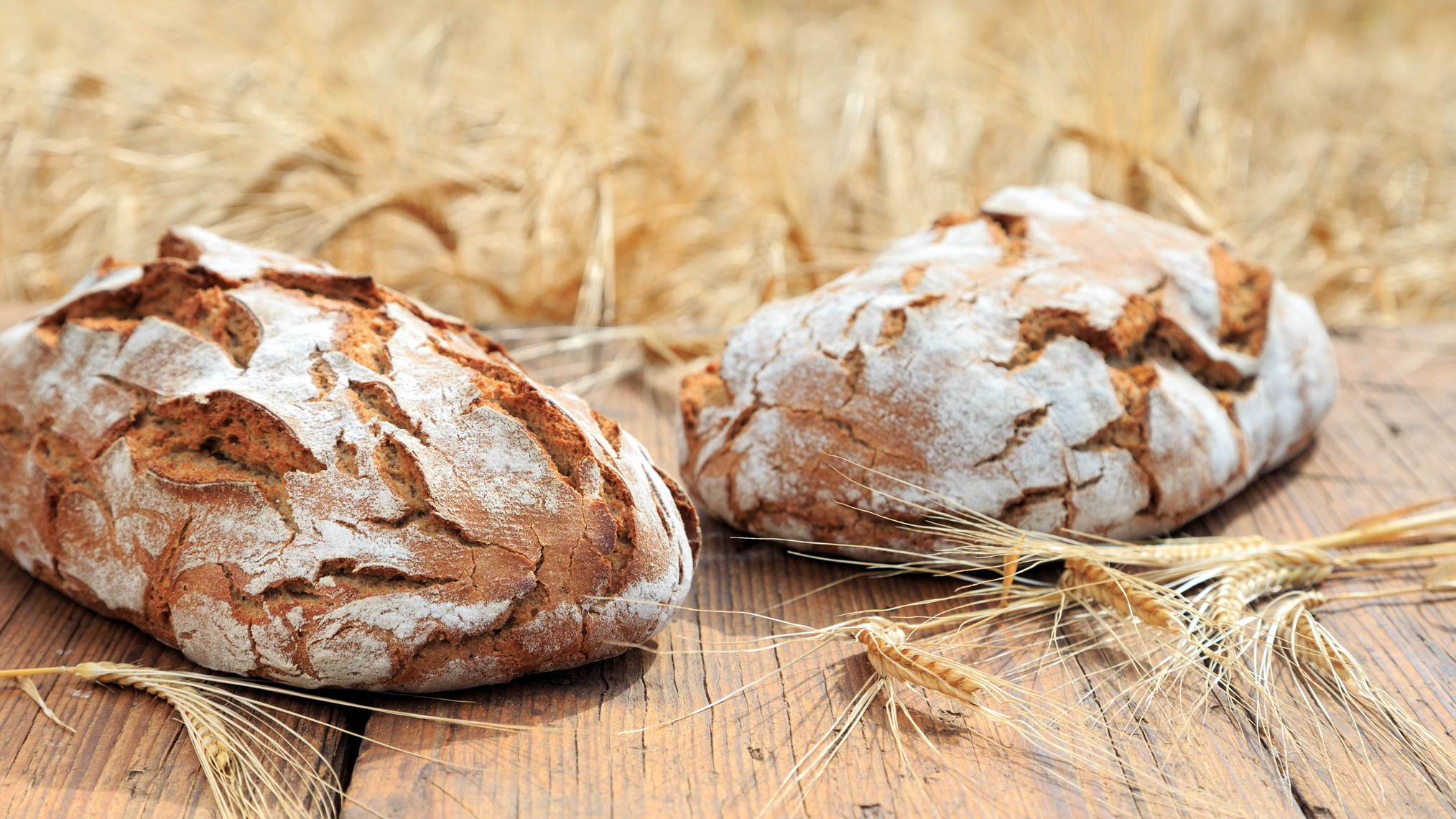 Zwei Brotlaibe und Getreideähren auf einem Holztisch