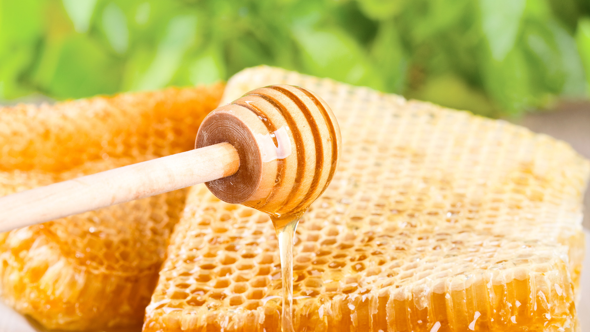Frischer Honig aus der Honigwabe