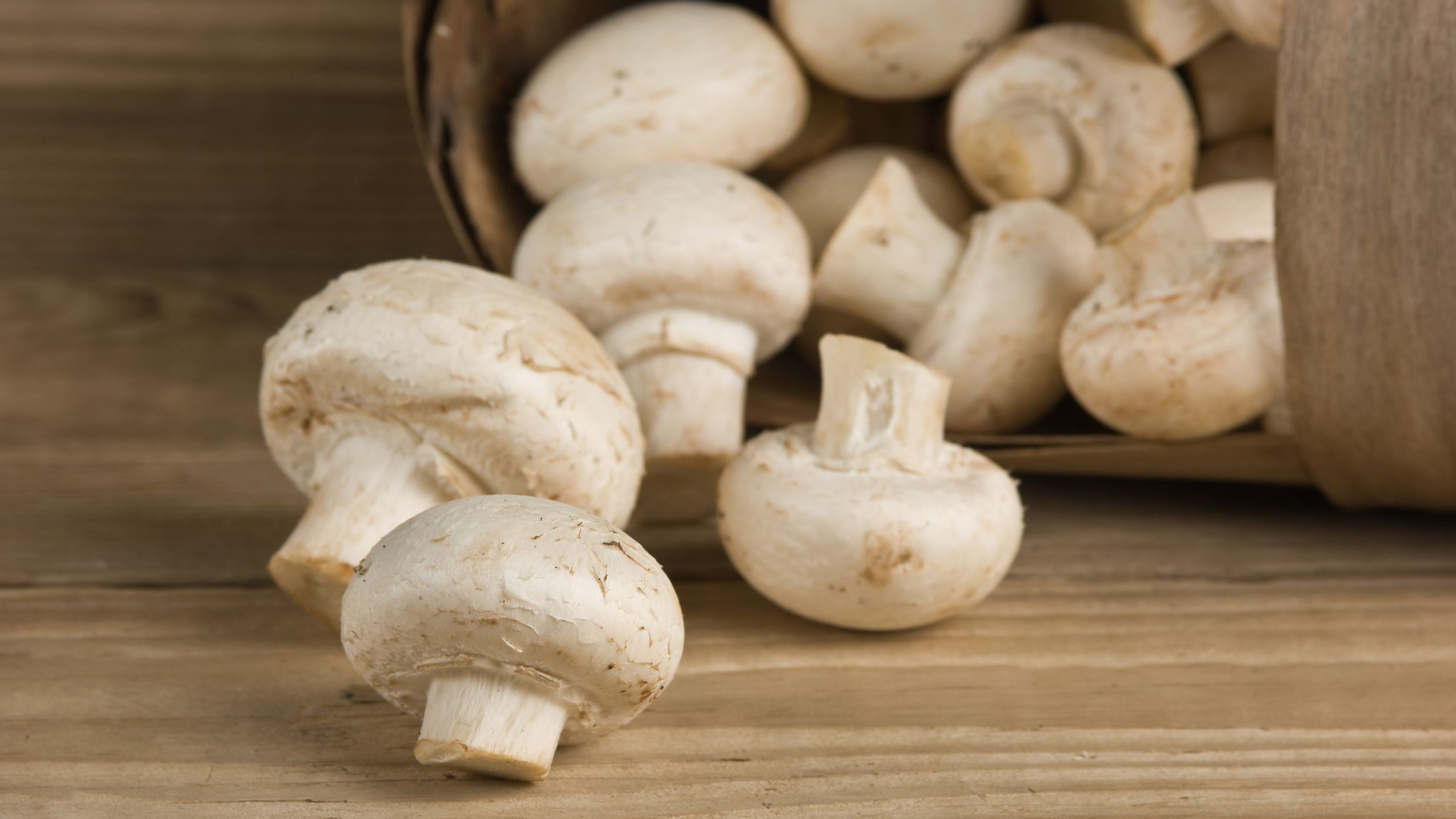 Champignons auf einem Tisch