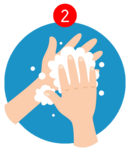 Richtiges Händewaschen - Schritt 2