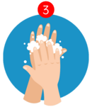 Richtiges Händewaschen - Schritt 3