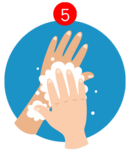 Richtiges Händewaschen - Schritt 5
