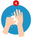 Richtiges Händewaschen - Schritt 4